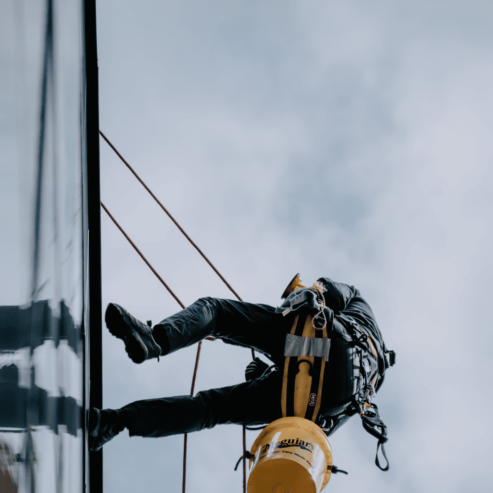 Commercial window cleaning