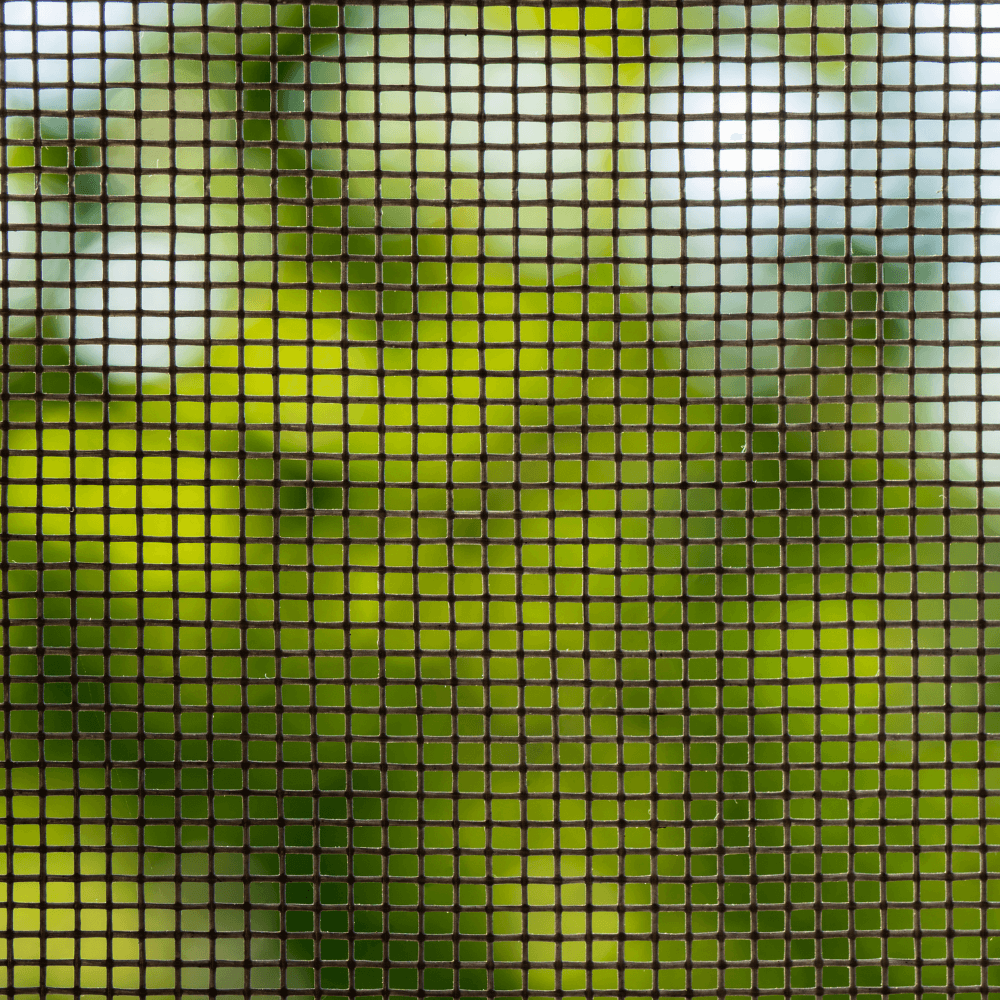 Window screen cleaning service